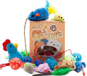 Fashion's Talk 20-teiliges Katzenspielzeug-Sortiment mit Katzenminze