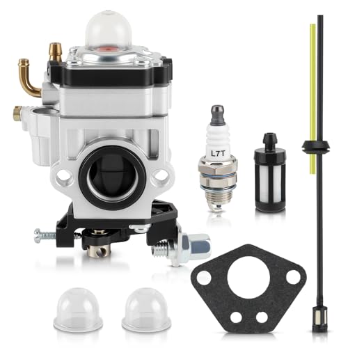 Carburetor Assembly with Fuel Filter Kit
