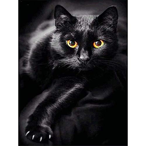 DIY 5D Diamond Painting by Number Kits, Full Drill Crystal Rhinestone Embroidery Pictures Arts Craft for Home Wall Decoration Black Cat 11.8×15.7Inches
