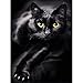 UPMALL DIY 5D Diamond Painting by Number Kits, Full Drill Crystal Rhinestone Embroidery Pictures Arts Craft for Home Wall Decoration Black Cat 11.8×15.7Inches