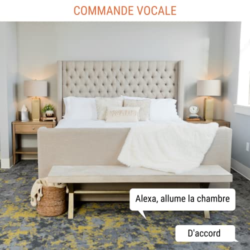 Ampoules connectées Antalya Easy E14 LED WiFi Bluetooth Alexa Google - 5