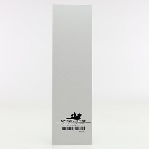 Miniatura 5 de Winter Lane Bookmark, New England Original Photography