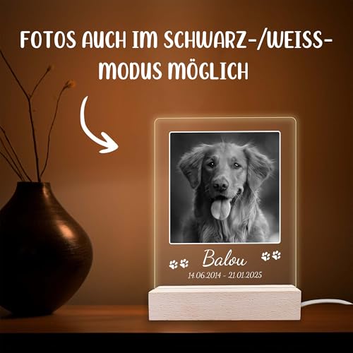 INDIGOS UG - LED Lampe personalisiert - Gedenktafel - hoch, Bild groß - Haustier, Hund, Katze - Wunschbild, Wunschtext - personalisierte Lampe - Geschenk, Familie - optionale Lampe warmweiß