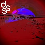 DSS