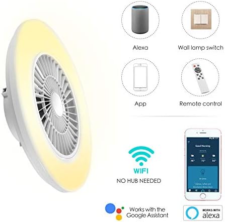 BKZO Smart LED Ceiling Light with Fan, Ceiling Fan Lights 24 Levels Wind Speeds, Stepless Dimming Light, 60CM Modern Fan Lighting for Living Room, Dining Room, Bedroom, Office, 3000-5500K