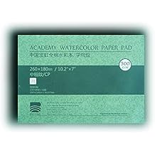 BAOHONG Academy Grade Watercolor Block, 100% Cotton, Acid-Free, 140LB/300GSM, Cold Press Textured, 20 Sheets per Block Cold Press 7" X10.2