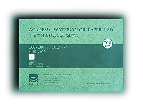 BAOHONG Academy Grade Watercolor Block 100% Cotton Acid-Free 140LB/300GSM Cold Press Textured 20 Sheets per Block (Cold Press 7 X10.2)
