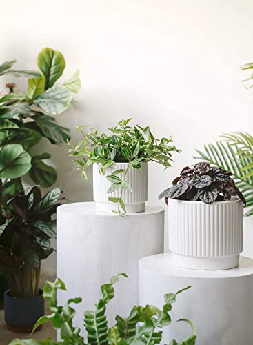 Image of LE TAUCI Ceramic Pots for Plants, 8+6.7+5.5 Inch Plant Pots Indoor, Flower Pot with Drainage Holes, Medium Cylinder Planters for Indoor House Plants, Set of 3, White
