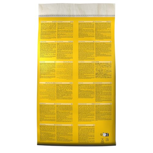 Belcando Adult Active [4 kg] Hundefutter | Trockenfutter für aktive Hunde & Sporthunde | Alleinfuttermittel für ausgewachsene Hunde ab 1 Jahr