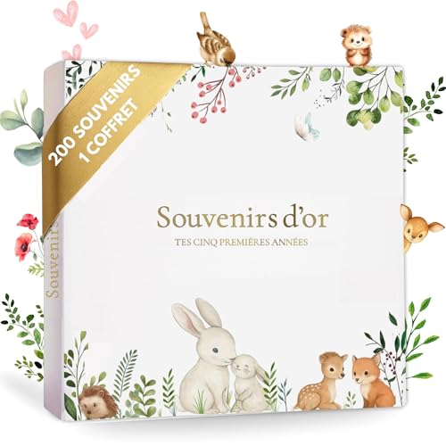 Livre de naissance bébé de 0 à 5 ans +