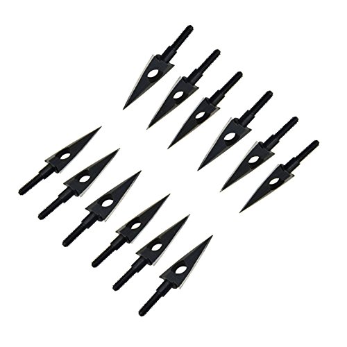 3Z Archery 12pcs Bogenschießen Pfeile Broadheads 125 GR 2-Blades für Recurve Compound Bogen Bogen Outdoor Jagd Schießen Ziel Pfeil Köpfe Tipps Cover