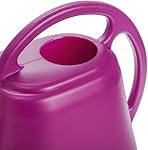 Fasmov Canette d'arrosage en plastique, Rose Rouge, 1-Gallon