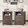Nightstand set of 2 with charging station farmhouse side table with 2 tiers storage drawer and 1 open wood cubby for bedroom office black  urban country home decor