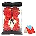 Delisouls Oso Rosas Regalo, Oso de Flores con Una Caja de Regalo Transparente con Barra de luz, Oso de Flores Artificiales Regalo Adornos para de Cumpleaños San Valentín Aniversario Regalo (Rojo)