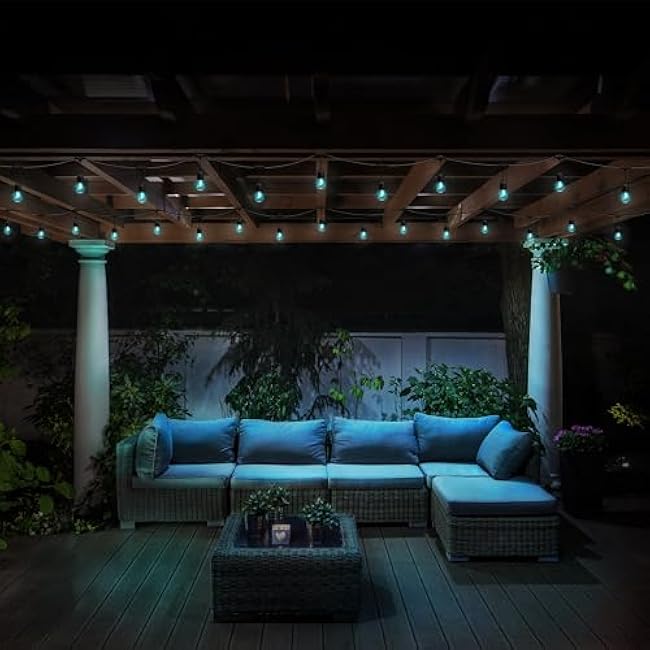 Feit Electric Outdoor String Light 24ft White Filament Color Changing SL24-12/RGBW/WFIL/AG