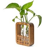 MIGAKU HOME Walnut Wood Terrarium Planter - 2 Glass Test Tube Vase & Boho Plant Stand for Hydroponics, Home Office Desk Decor, Unique Housewarming Birthday Gifts for Women Plant Lovers