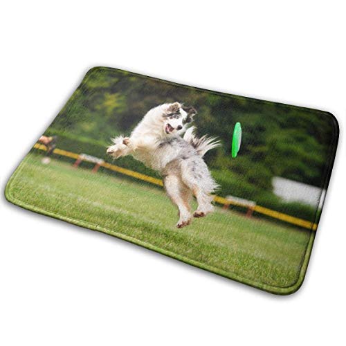 Frisbee Per Cani, 2 Unità Frisbee Giocattolo, Frisbee Di Gomma - 10