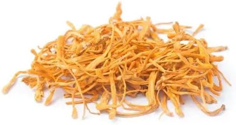 Miniatura 7 de bodi  Cordyceps - Champiñones secos enteros  4 oz a 5 libras  100% puro natural hecho a mano (4 onzas)