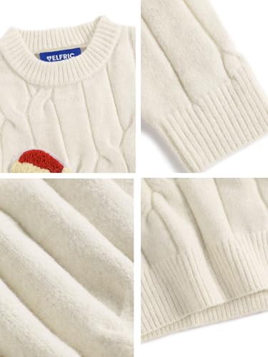 Aelfric Eden Women's Oversized Grahpic Cable Knit Crewneck Sweaters Long Sleeve Sweater 2025 Outfits Pullover4