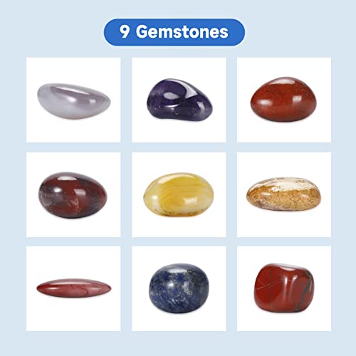 Leegol Electric Rock Tumbler Double Drum 6LB Lapidary Polisher