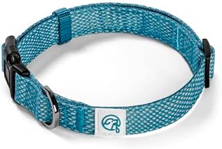 Embark Illuminate Reflective Dog Collar For Large, Medium & Small DogsAdjustable Padded Dog Collars With Buckle Made with Nylon Reflective Material Premium Puppy Collar (Blue Dog Collar Medium)