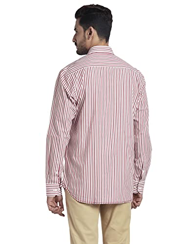 Image of Colorplus Men's Pure Cotton Stripe Pattern Tailored Fit Spread Collar Full Sleeve Casual Shirt