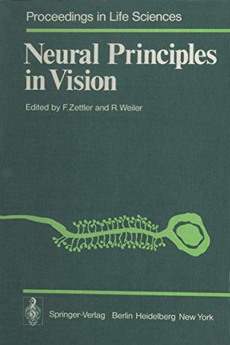 Neural Principles in Vision view 2