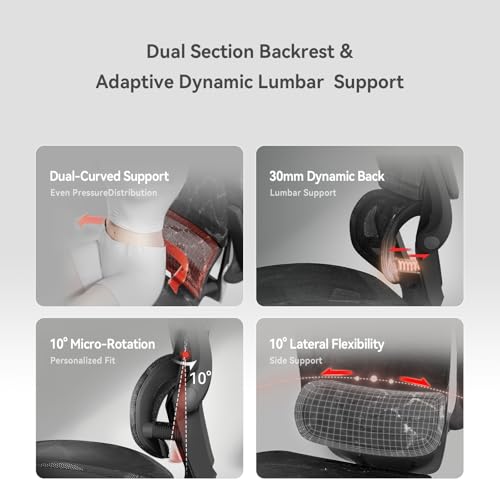 Image of SIHOO M59AS Ergonomic Office Chair, Desk Chair with 3D Flip-up Armrests, Computer Chair with Dual Back Design and Adaptive Dynamic Lumbar Support Black