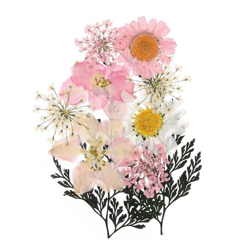 Flores prensadas secas para manualidades, pack de 10 miniatura 1