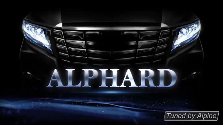 Amazon | アルパイン(ALPINE) BIG X アルファード 30系 専用 カーナビ