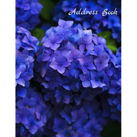 Blue Hydrangeas Phone NoteBook with Address, Password and Notes: Easy to update Address book, Phone Journal, Passwords for Home, Seniors, Moms, Dads Cover