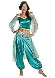 Aladdin Animated Women's Jasmine Prestige Costume Large