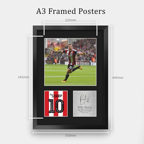 Cuadro A3 de Billy Sharp para decorar tu zona de fútbol en casa 2