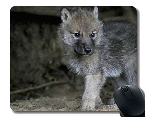 Preisvergleich Produktbild Rechteck-Mausunterlage, Tierwolfkinder Gaming Mousepad Mat