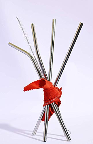 Image of Stainless Steel Straws for Drinking with Brushes (4 Bent + 4 Straight + 2 Brushes)