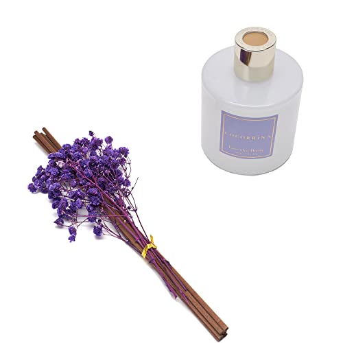 Cocorrína Premium Reed Diffuser Set With Preserved Baby'S Breath & Cotton Stick Lavender Thyme | 6.7Oz Scent Fragrance Lavender Oil Diffuser For Bedroom Bathroom Home Décor thumb #2