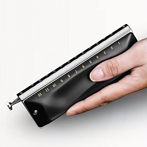 MEIeynt Harmonica diatonique en do, Harpe Blues Harmonica diatonique pour Orgue à Bouche clé en do 12 Trous Harmonica de… - Les Beatles, Paul McCartney, John Lennon, RIngo Starr, George Harrison MEIeynt Harmonica diatonique en do, Harpe Blues Harmonica diatonique pour Orgue à Bouche clé en do 12 Trous Harmonica de… – Image 3
