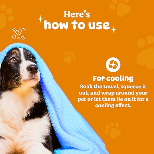 Image of BASIL Microfiber Ultra-Soft, Quick-Absorbent & Cooling Towel for Pets | Eco-Friendly, Fast-Drying Bathing Towel for Dogs & Cats of All Breeds | Perfect for Travel & Outdoor Uses | Blue | Pack of 1