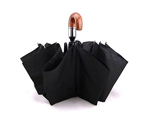 Hooshion Portable Windproof Travel Automatic Folding Rain Umbrellas Auto Open Close J Shape