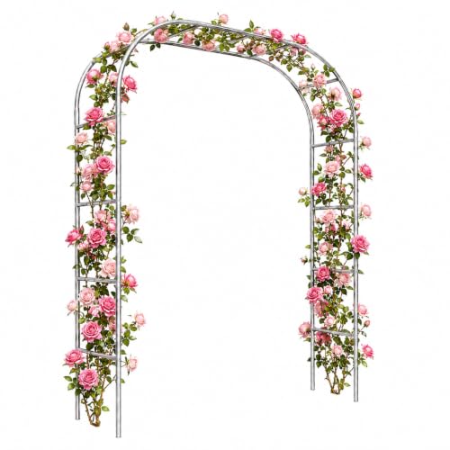 Arche Jardin Robuste, Arche de Jardin Résistant aux Intempéries avec Protection Solaire, Arche Rosier Acier Inoxydable, Décoratif Facile à Installer pour Roses(19mm,W 2.6 M x H 2.4 M)