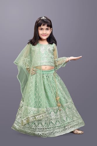 Image of Girl's Princess Lehenga Choli Set - Soft Net, Ribbon Embroidery With Duppata, Readymade