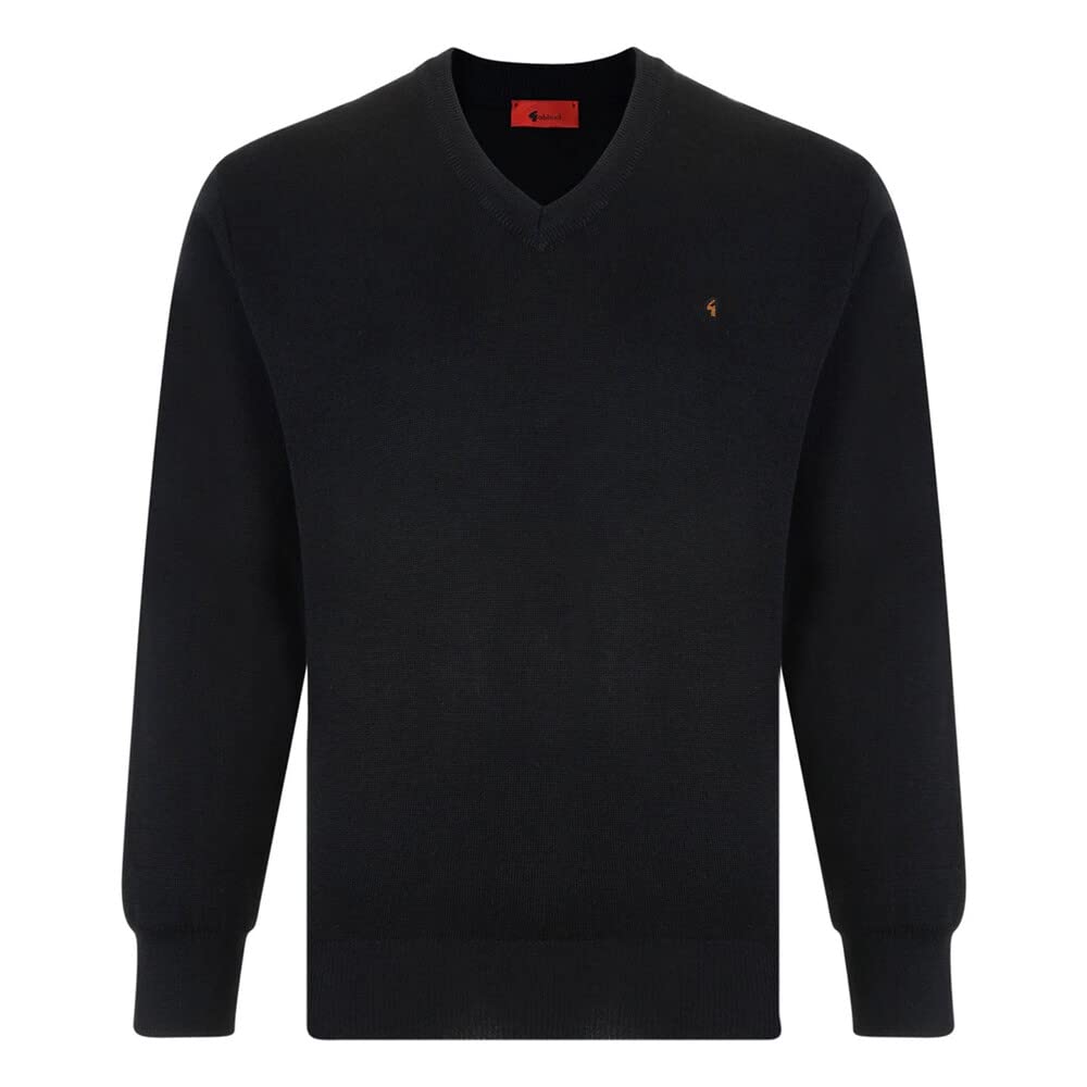 Gabicci Plain V-Neck Sweater (L, Black)
