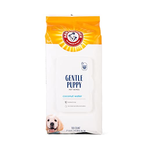 Top 10 Best Cleaning Wipes For Dogs Reviews & Buying Guide Katynel