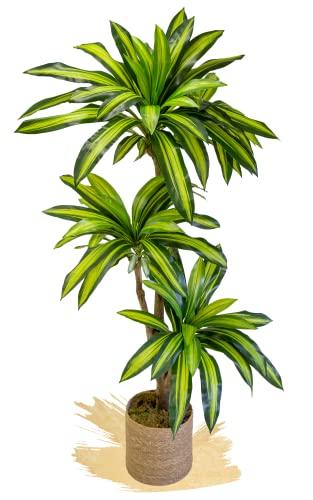Risparmia in manutenzione (non necessita di acqua, fertilizzante, potatura...) e potrai decorare spazi in cui non è utile posizionare piante naturali, come camere da letto, bagni e cucine.