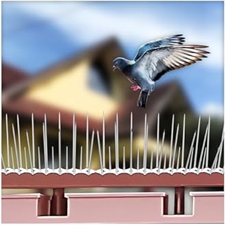 SWAPKART (Pack of 10) Bird and Pigeon Spikes, Pigeon Control Spikes Anti Bird Plastic Spikes for AC Balcony Railing Window Home Protection from Pigeon Dog Monkey Crow Kabootar Transparent