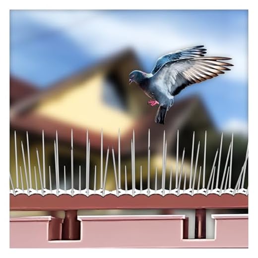 SWAPKART (Pack of 40) Bird and Pigeon Spikes, Pigeon Control Spikes Anti Bird Plastic Spikes for AC Balcony Railing Window Home Protection from Pigeon Dog Monkey Crow Kabootar Transparent