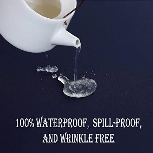 https://m.media-amazon.com/images/I/41whw8Z023L.jpg