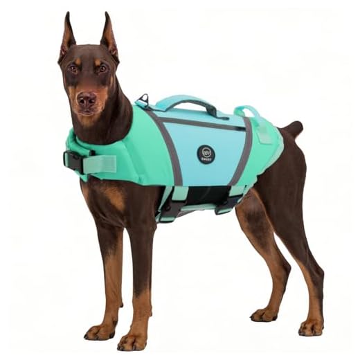 Durable EMUST Dog Life Vest for Swimming