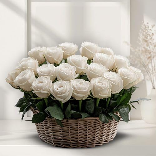 FLORANET A Cool Breeze – Basket Arrangement of 15 White Roses, perfect for Anniversary, Birthday, Wedding, Sympathy, Congratulations, Mother's Day (Same Day Delivery Available)-image-40
