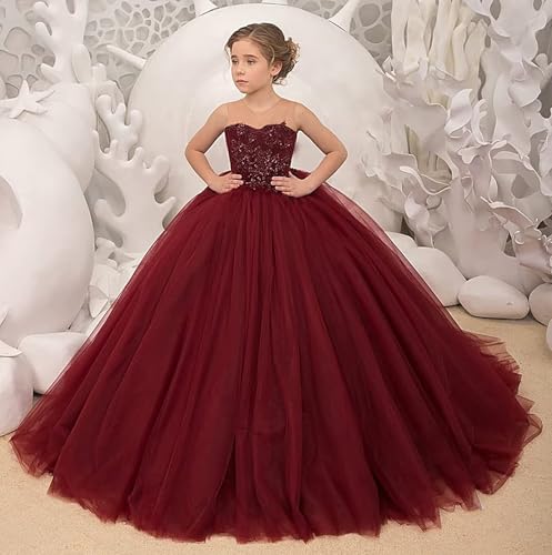 Tulle Flower Girl Dress for Wedding Lace Applique Princess Pageant Dresses Long Girls Party Ball Gown3